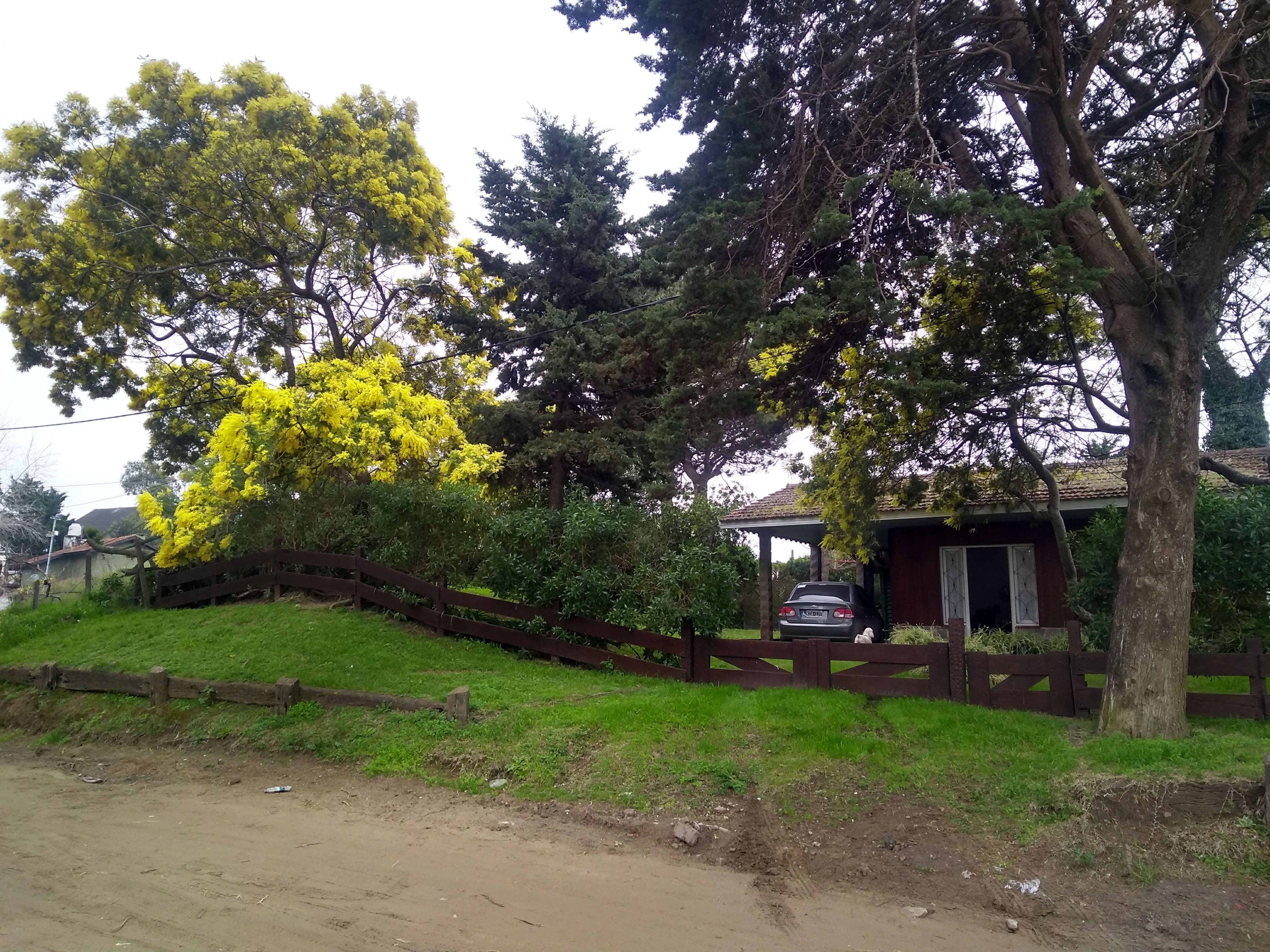 WhatsApp Image 2025-05-16 at 15.49.20.jpeg